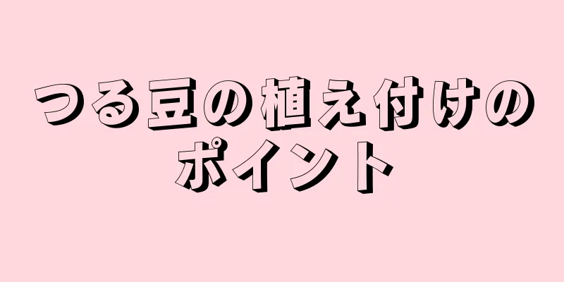 つる豆の植え付けのポイント