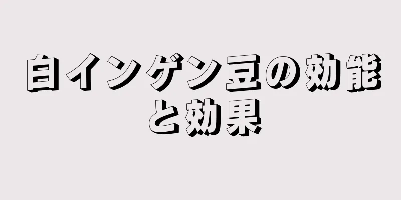 白インゲン豆の効能と効果