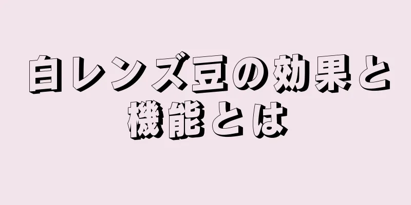 白レンズ豆の効果と機能とは