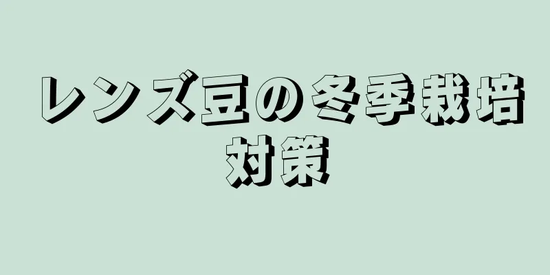 レンズ豆の冬季栽培対策