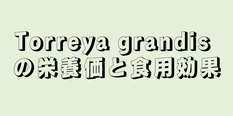 Torreya grandis の栄養価と食用効果
