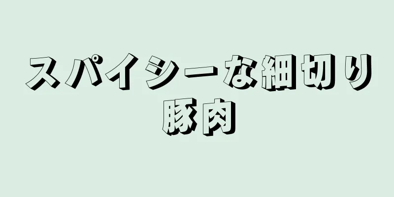 スパイシーな細切り豚肉
