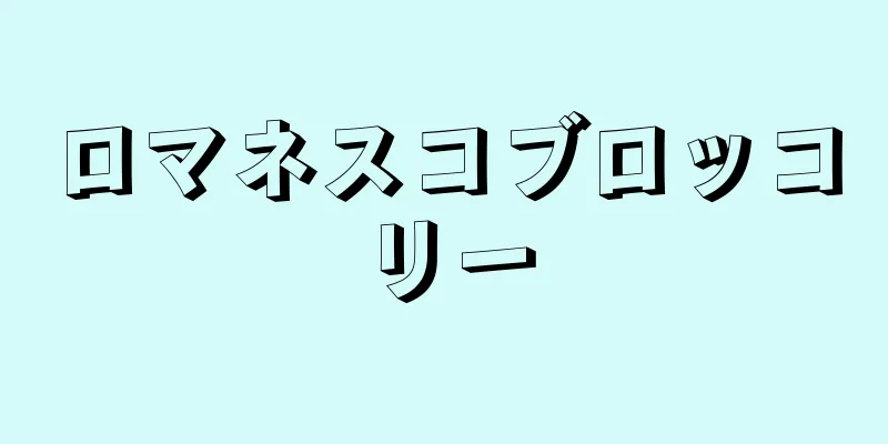 ロマネスコブロッコリー