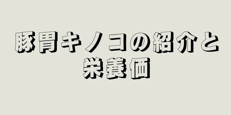 豚胃キノコの紹介と栄養価
