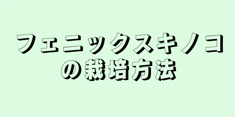 フェニックスキノコの栽培方法