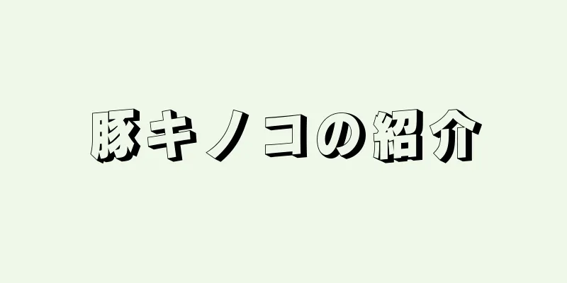 豚キノコの紹介