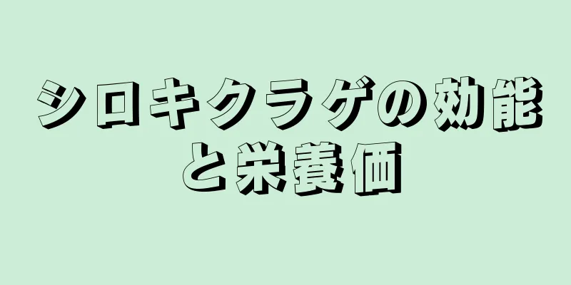 シロキクラゲの効能と栄養価