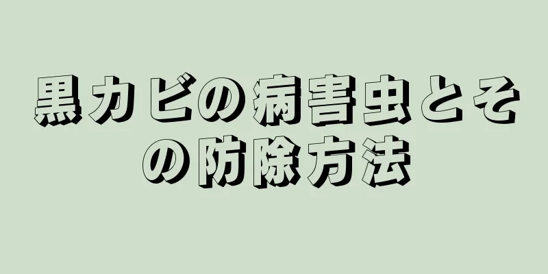 黒カビの病害虫とその防除方法