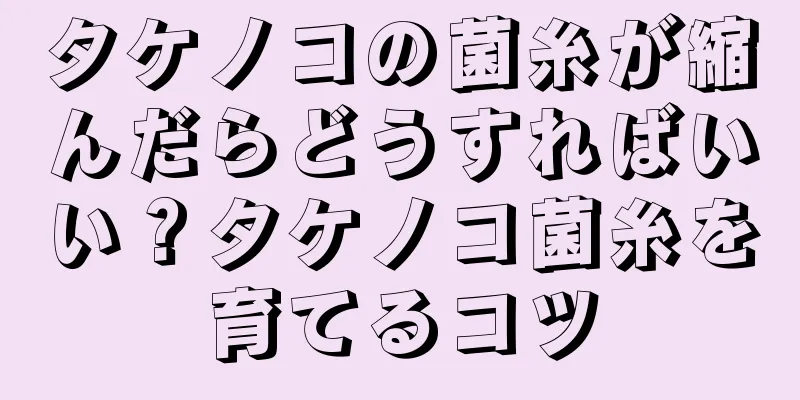 タケノコの菌糸が縮んだらどうすればいい？タケノコ菌糸を育てるコツ