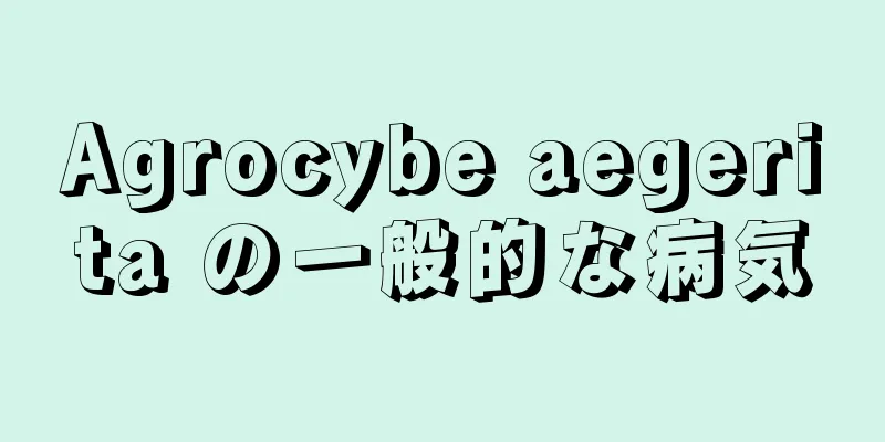Agrocybe aegerita の一般的な病気