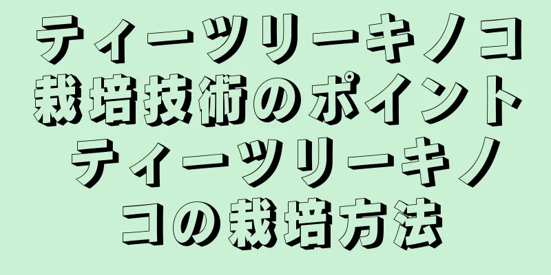 ティーツリーキノコ栽培技術のポイント ティーツリーキノコの栽培方法