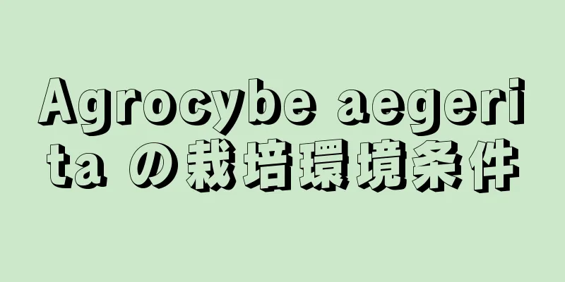 Agrocybe aegerita の栽培環境条件