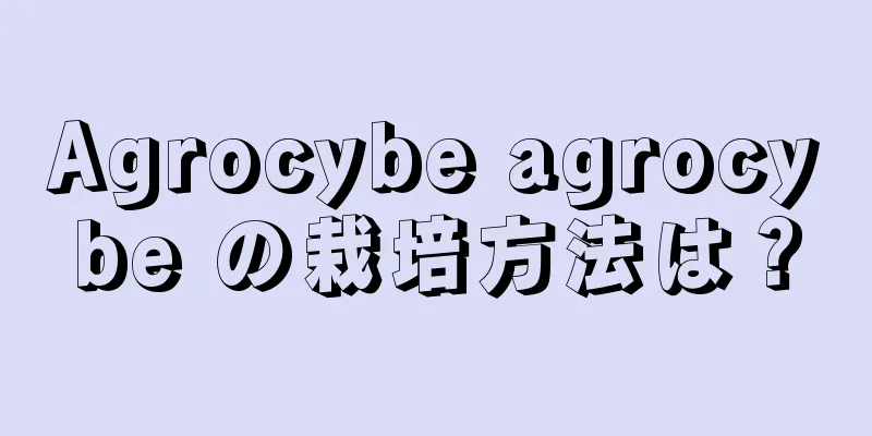 Agrocybe agrocybe の栽培方法は？