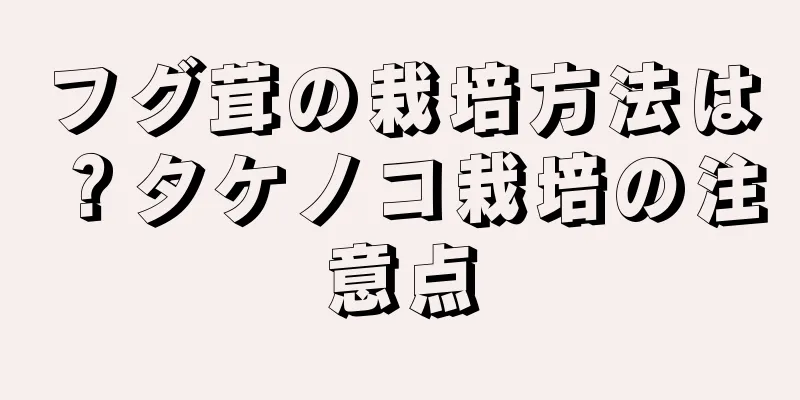 フグ茸の栽培方法は？タケノコ栽培の注意点