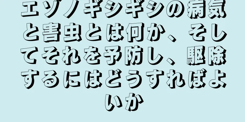 エゾノギシギシの病気と害虫とは何か、そしてそれを予防し、駆除するにはどうすればよいか