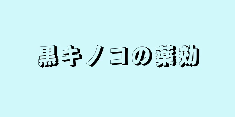 黒キノコの薬効