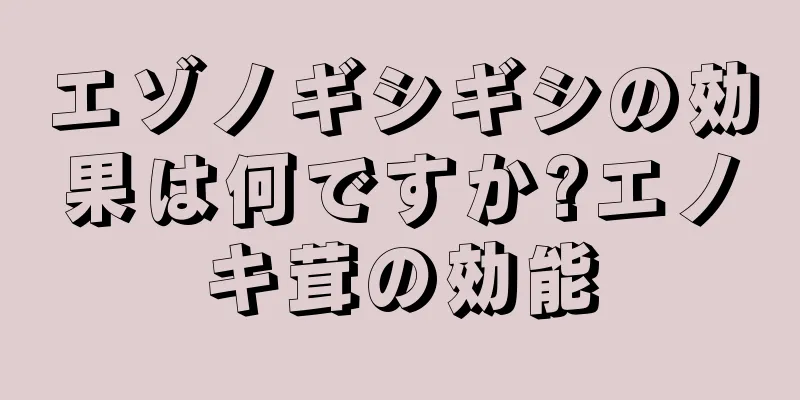 エゾノギシギシの効果は何ですか?エノキ茸の効能
