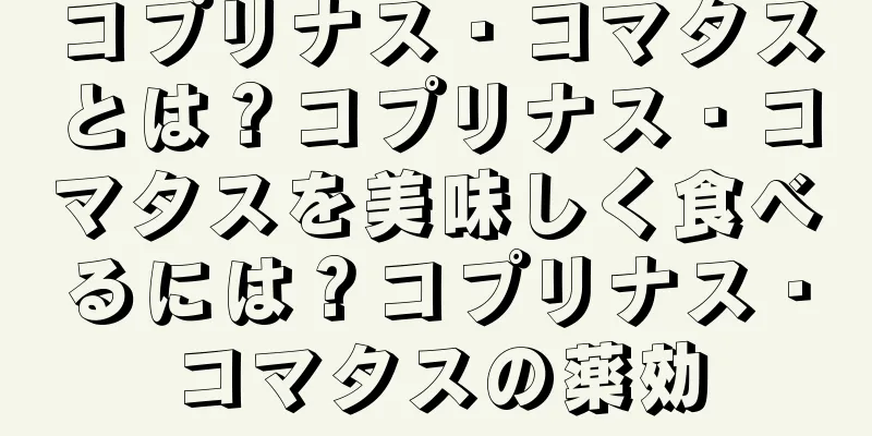コプリナス・コマタスとは？コプリナス・コマタスを美味しく食べるには？コプリナス・コマタスの薬効