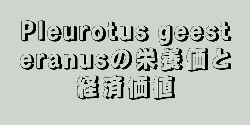 Pleurotus geesteranusの栄養価と経済価値