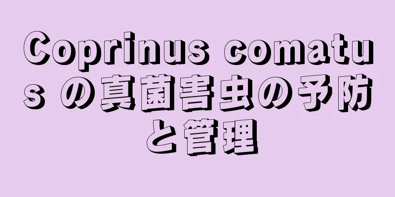 Coprinus comatus の真菌害虫の予防と管理