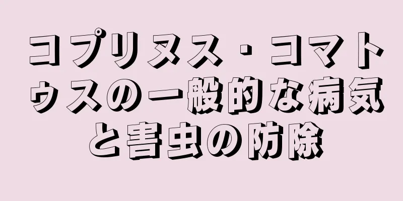 コプリヌス・コマトゥスの一般的な病気と害虫の防除