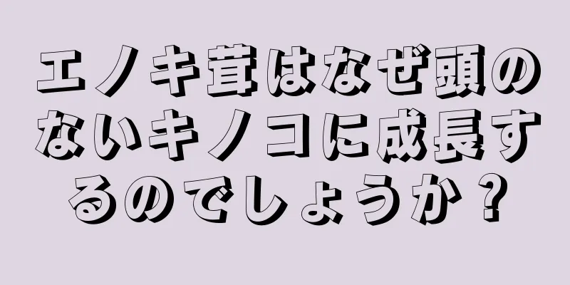 エノキ茸はなぜ頭のないキノコに成長するのでしょうか？