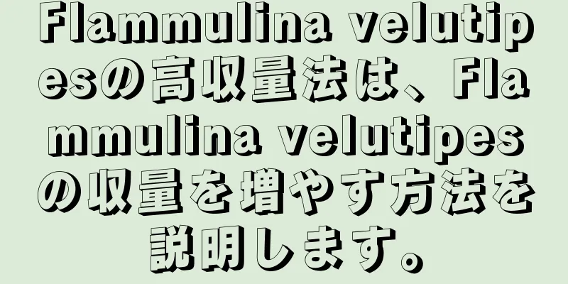 Flammulina velutipesの高収量法は、Flammulina velutipesの収量を増やす方法を説明します。