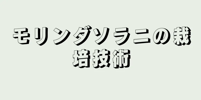 モリンダソラニの栽培技術