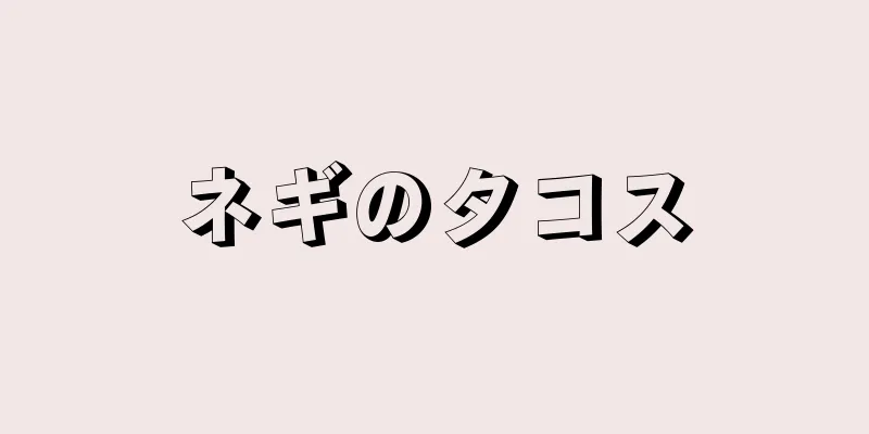 ネギのタコス