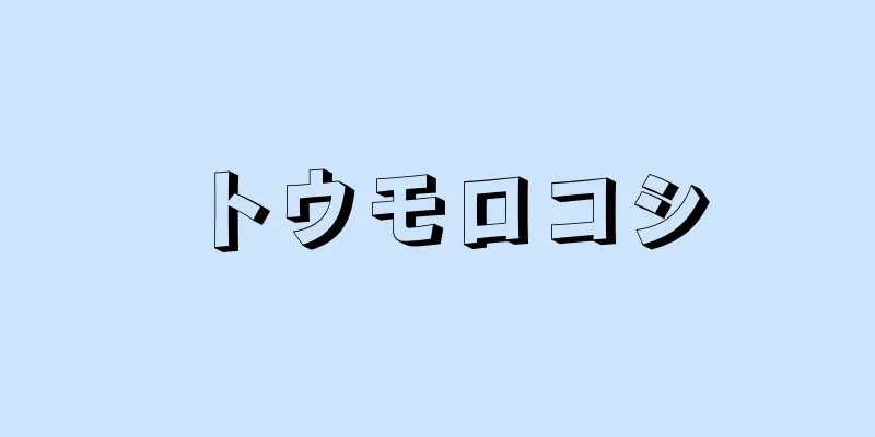 トウモロコシ