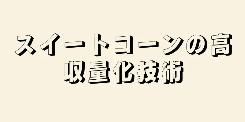スイートコーンの高収量化技術