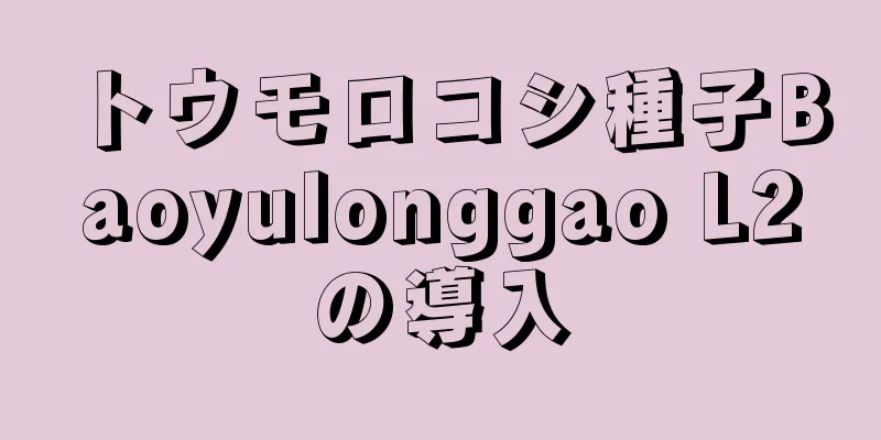 トウモロコシ種子Baoyulonggao L2の導入