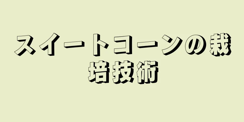 スイートコーンの栽培技術