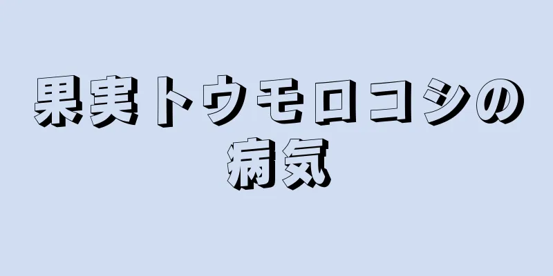 果実トウモロコシの病気