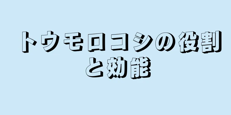トウモロコシの役割と効能
