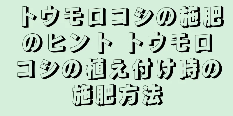 トウモロコシの施肥のヒント トウモロコシの植え付け時の施肥方法