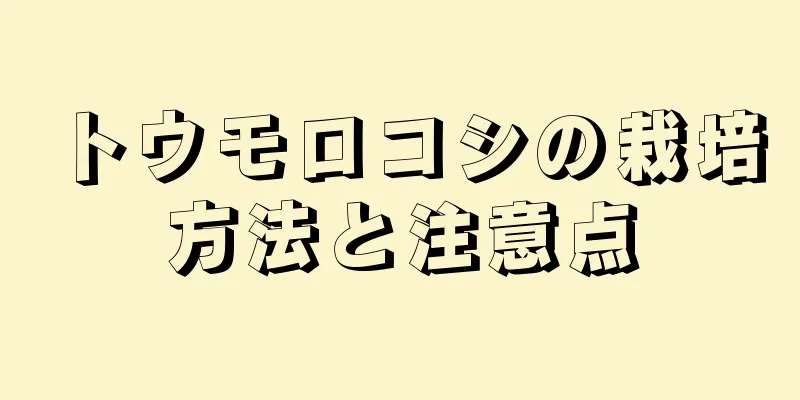トウモロコシの栽培方法と注意点