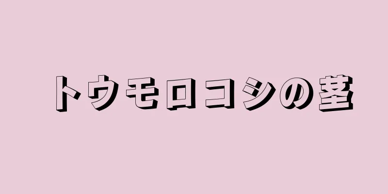 トウモロコシの茎