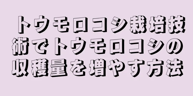 トウモロコシ栽培技術でトウモロコシの収穫量を増やす方法