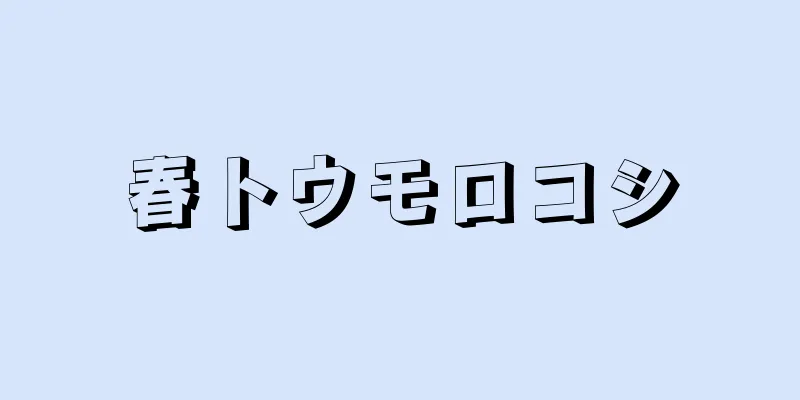 春トウモロコシ