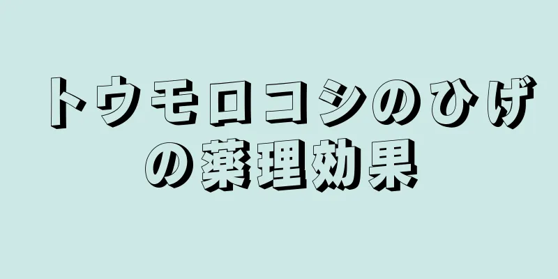 トウモロコシのひげの薬理効果
