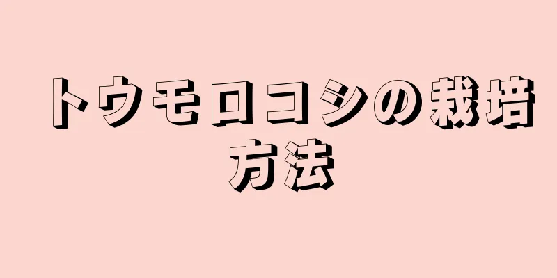 トウモロコシの栽培方法