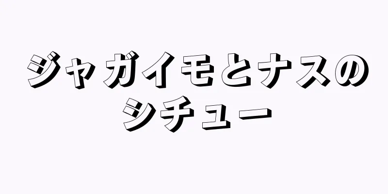 ジャガイモとナスのシチュー