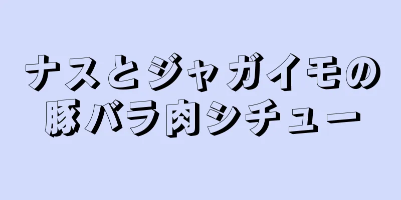 ナスとジャガイモの豚バラ肉シチュー