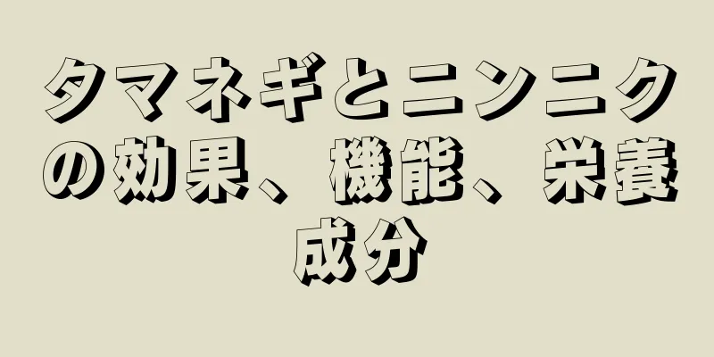 タマネギとニンニクの効果、機能、栄養成分