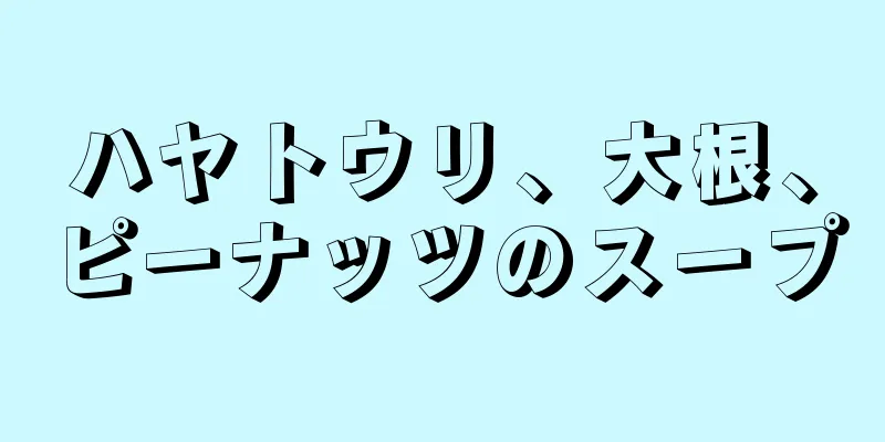 ハヤトウリ、大根、ピーナッツのスープ