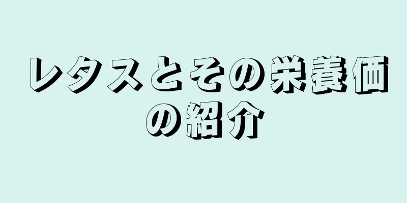 レタスとその栄養価の紹介