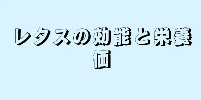 レタスの効能と栄養価
