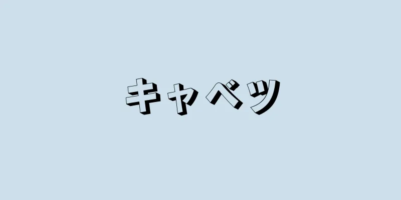 キャベツ