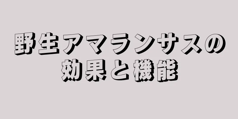 野生アマランサスの効果と機能
